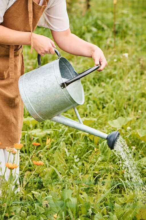 Лійка, 25*37*58 см, обʼєм 9 л, метал