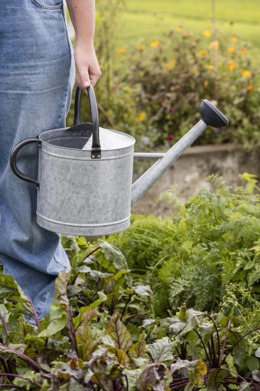 Лійка, 25*37*58 см, обʼєм 9 л, метал