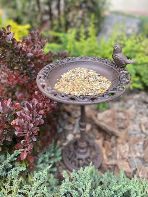 Годівничка на ніжці, L 22.5 x D 22.5 x H 38.5 см, чавун